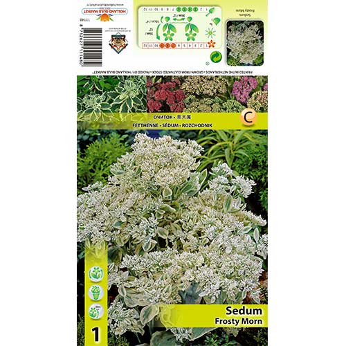 Laimiņš Frosty Morn interface.image 1 interface.art 70487