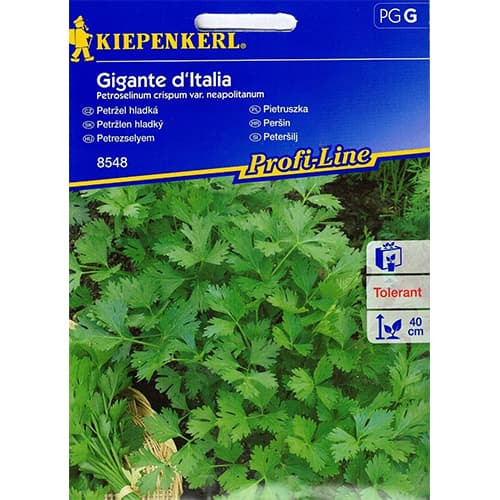 Lapu pētersīļi Gigante d'Italia interface.image 1 interface.art 86503