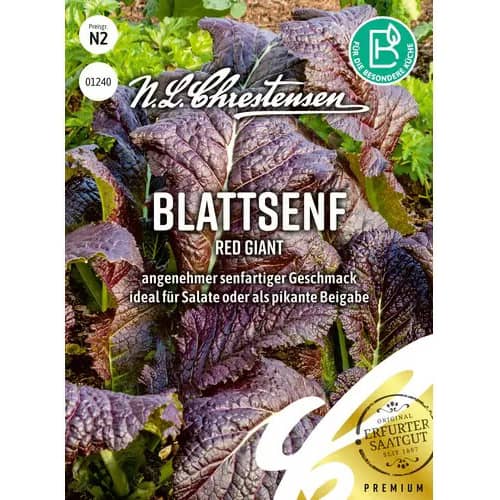 Lapu sinepes Red Giant interface.image 1 interface.art 87829