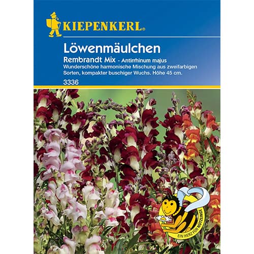 Lauvmutītes Rembrandt interface.image 1 interface.art 86286