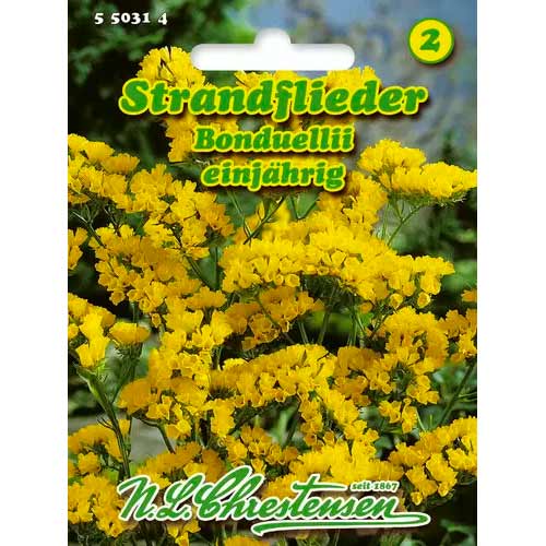 Lavanda Bonduellii Chrestensen interface.image 1 interface.art 50031