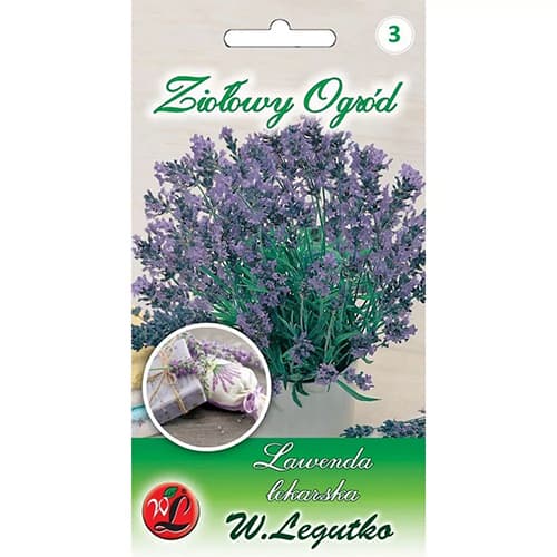 Lavanda Legutko interface.image 1 interface.art 69675