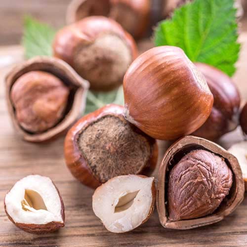 Lazdu rieksts Ennis interface.image 1 interface.art 6934