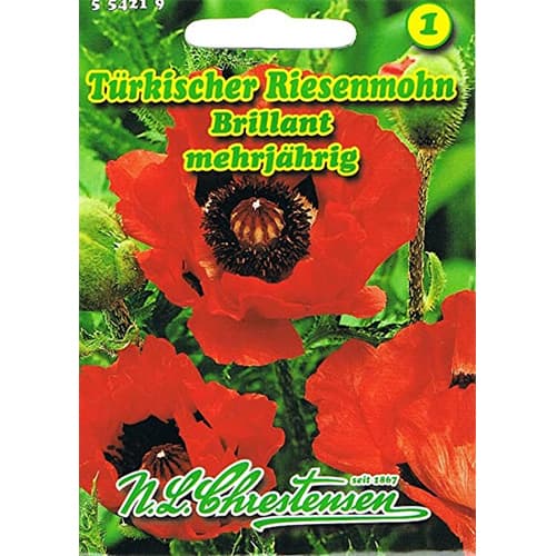 Lielās magones Brillant interface.image 1 interface.art 78831