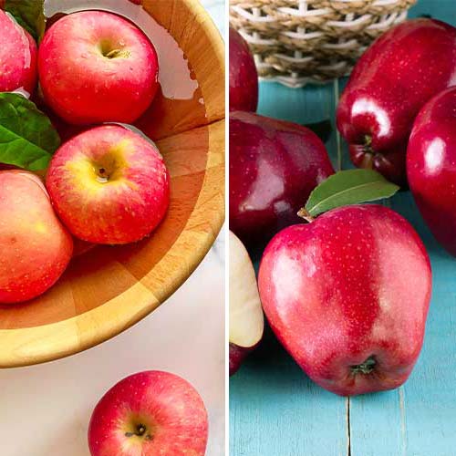 Lielisks piedāvājums! 2 stādu komplekts interface.image 1 interface.art 5872