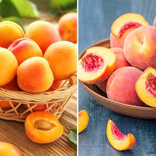 Lielisks piedāvājums! Augļi konservēšanai, 2 stādu komplekts interface.image 1 interface.art 5676