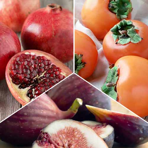 Lielisks piedāvājums! Eksotiski augļi, 3 stādu komplekts interface.image 1 interface.art 4878