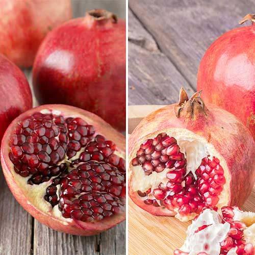 Lielisks piedāvājums! Granātābolu duets, 2 stādu komplekts interface.image 1 interface.art 4879