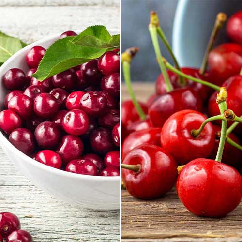 Lielisks piedāvājums! Vasaras raža, 2 stādu komplekts interface.image 1 interface.art 4874