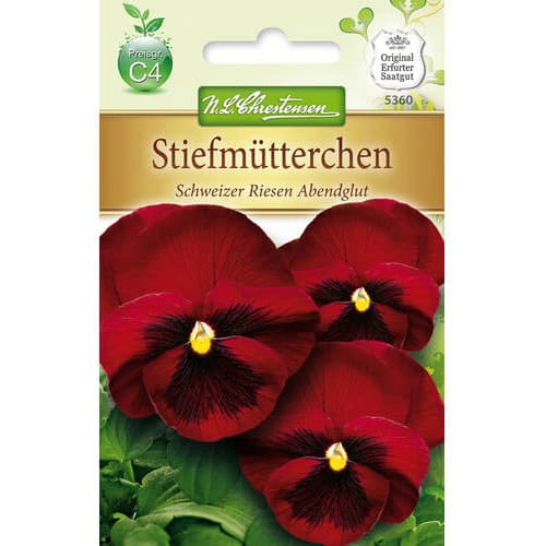 Lielziedu atraitnītes Abendglut interface.image 1 interface.art 78965