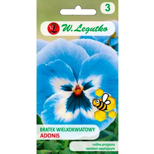 Lielziedu atraitnītes Adonis Legutko interface.image 1 interface.art 69569