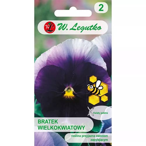 Lielziedu atraitnītes Lord Beaconsfield Legutko interface.image 1 interface.art 96735