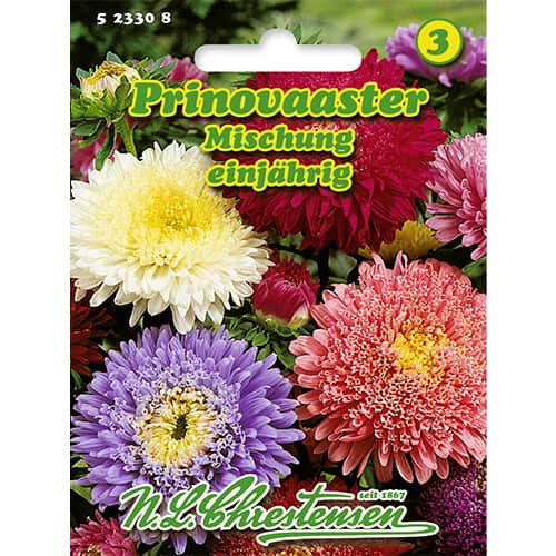 Lielziedu Ķīnas asteres, maisījums Chrestensen interface.image 1 interface.art 86137