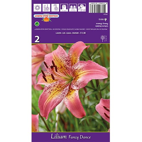 Lilia Fancy Dance interface.image 1 interface.art 77836