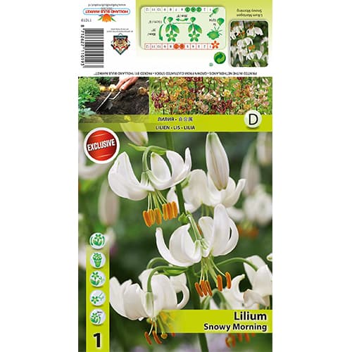 Lilia Snowy Morning interface.image 1 interface.art 77824