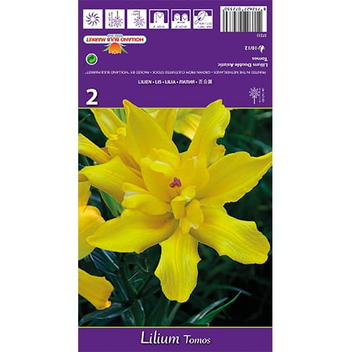 Lilia Tomos interface.image 1 interface.art 77839