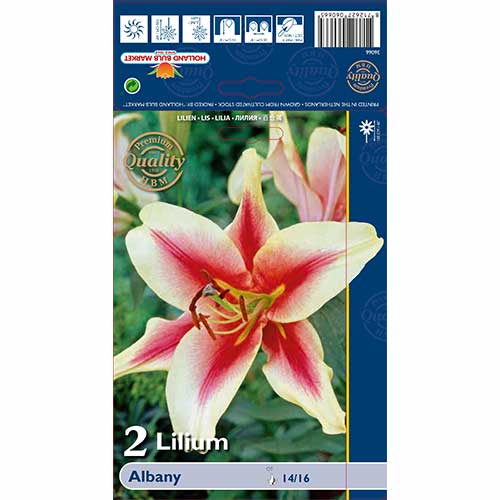 Lilija Albany interface.image 1 interface.art 70232