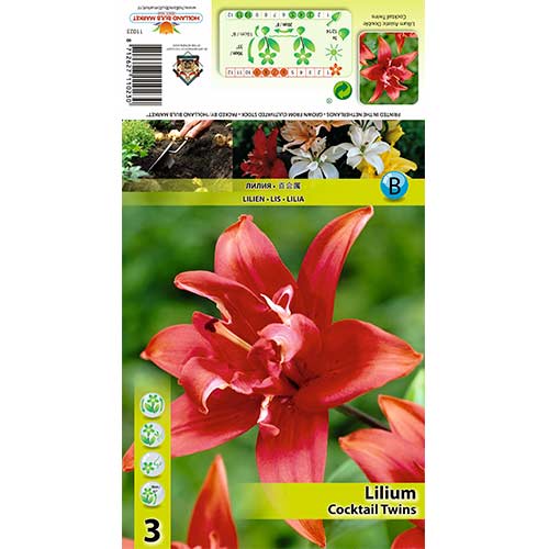 Lilija Cocktail Twins interface.image 1 interface.art 70426