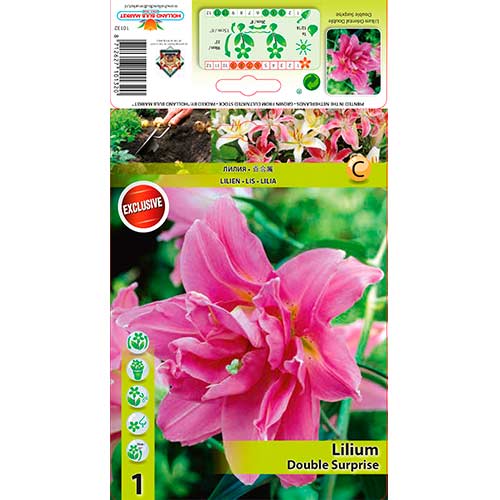 Lilija Double Surprise interface.image 1 interface.art 76307