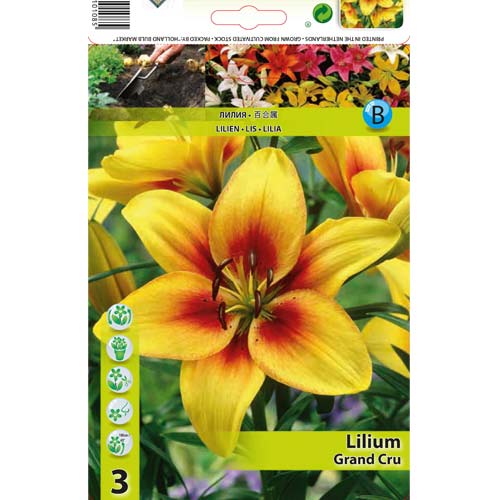 Lilija Grand Cru interface.image 1 interface.art 76468