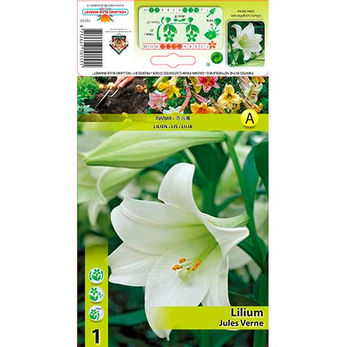 Lilija Jules Verne interface.image 1 interface.art 70432