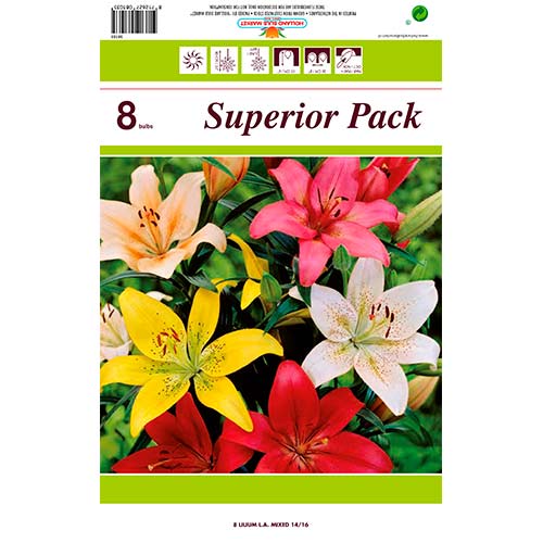 Lilija LA Mixed interface.image 1 interface.art 76469