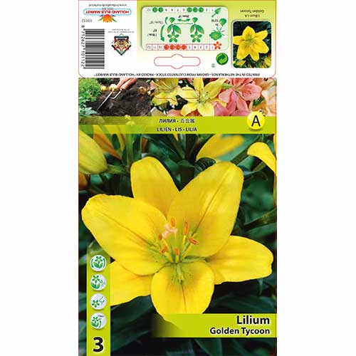 Lilija Golden Tycoon interface.image 1 interface.art 76602