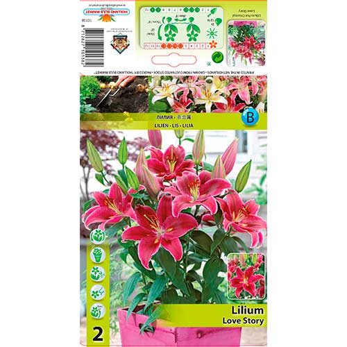 Lilija Love Story interface.image 1 interface.art 76313