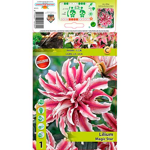 Lilija Magic Star interface.image 1 interface.art 76314