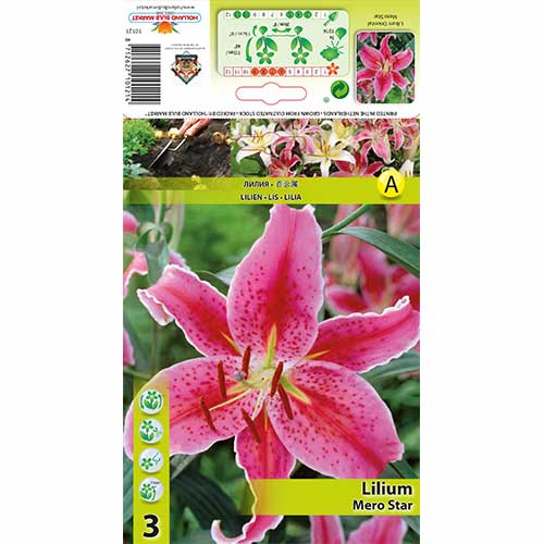 Lilija Mero Star interface.image 1 interface.art 76315