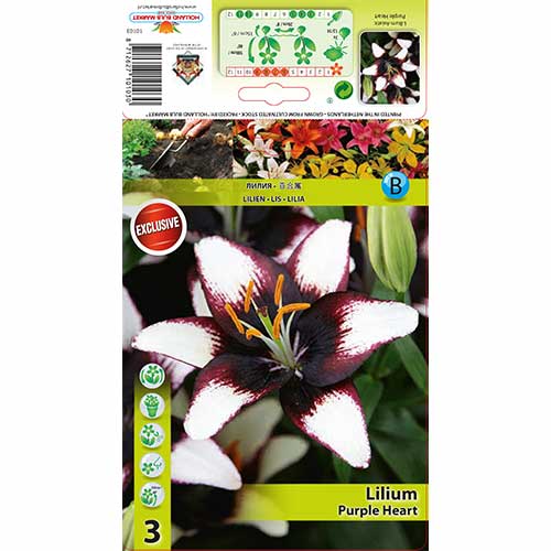 Lilija Purple Heart interface.image 1 interface.art 76475