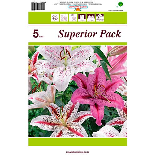 Lilija Tiger Mixed interface.image 1 interface.art 76480