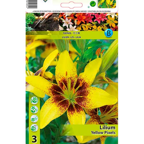 Lilija Yellow Pixels interface.image 1 interface.art 70470