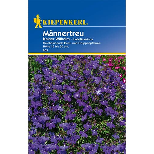 Lobēlijas Kaiser Wilhelm interface.image 1 interface.art 77421