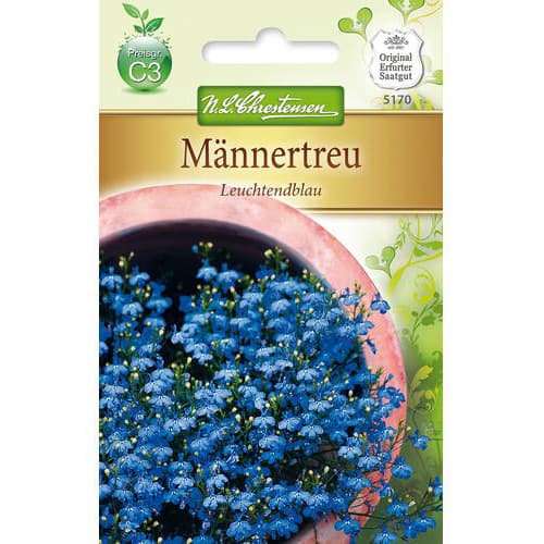 Lobēlijas Leuchtendblau interface.image 1 interface.art 78918