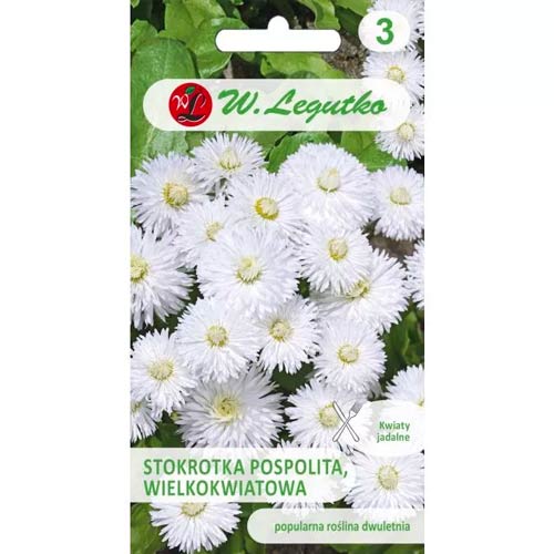 Mārpuķītes Ave balta Legutko interface.image 1 interface.art 50120