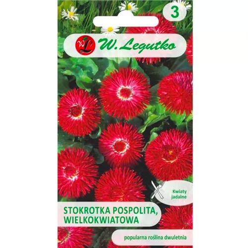 Mārpuķītes Gracja, sarkans Legutko interface.image 1 interface.art 78616