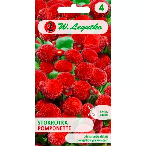 Mārpuķītes Pomponette, sarkans Legutko interface.image 1 interface.art 78619