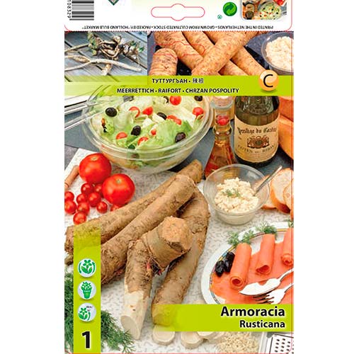 Mārrutka sakne interface.image 1 interface.art 70503