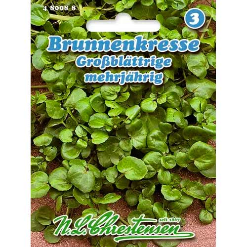 Mārrutki, sēklas Chrestensen interface.image 1 interface.art 50041