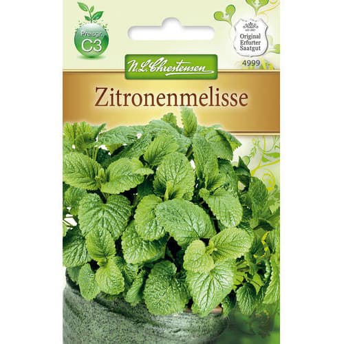 Melisas Chrestensen interface.image 1 interface.art 78874