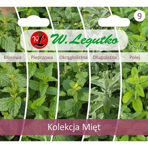 Mētras kolekcija interface.image 1 interface.art 96840