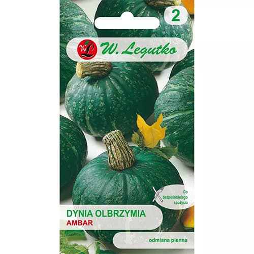 Milzu ķirbis Ambar interface.image 1 interface.art 78453