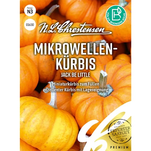 Mini ķirbji Jack Be Little interface.image 1 interface.art 86060