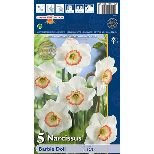 Narcise Barbie Doll interface.image 1 interface.art 67639