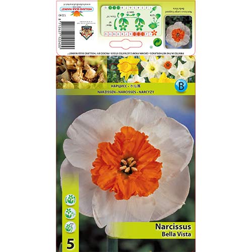 Narcises Bella Vista interface.image 1 interface.art 67640