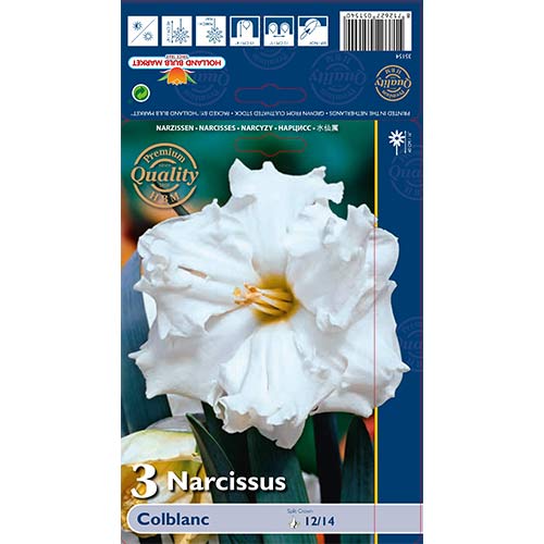 Narcise Colblanc interface.image 1 interface.art 67648