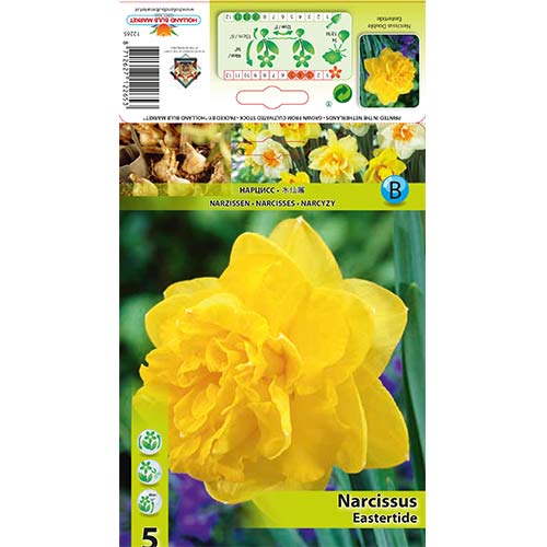 Narcises pildītās Eastertide interface.image 1 interface.art 70280