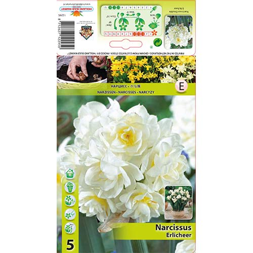 Narcises daudzziedu Erlicheer interface.image 1 interface.art 70285