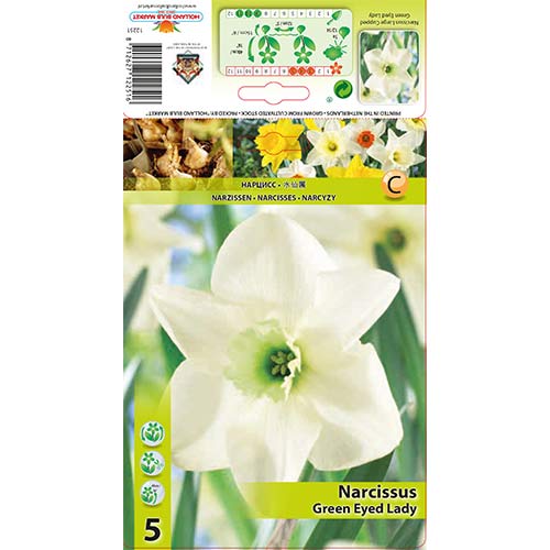 Narcise Green Eyed Lady interface.image 1 interface.art 67429